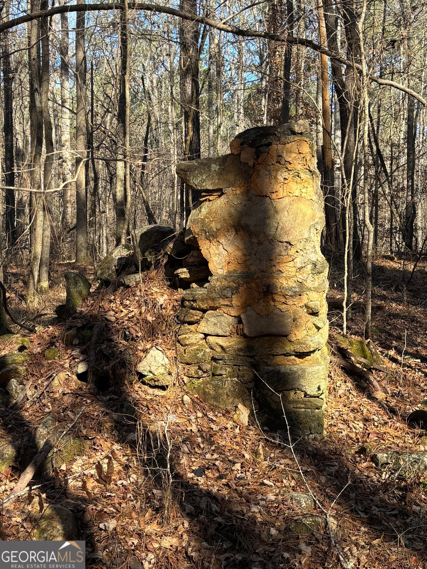 agriculture for sale at 0 Carl Mathis Road, Talbotton, GA 31827 — photo 7