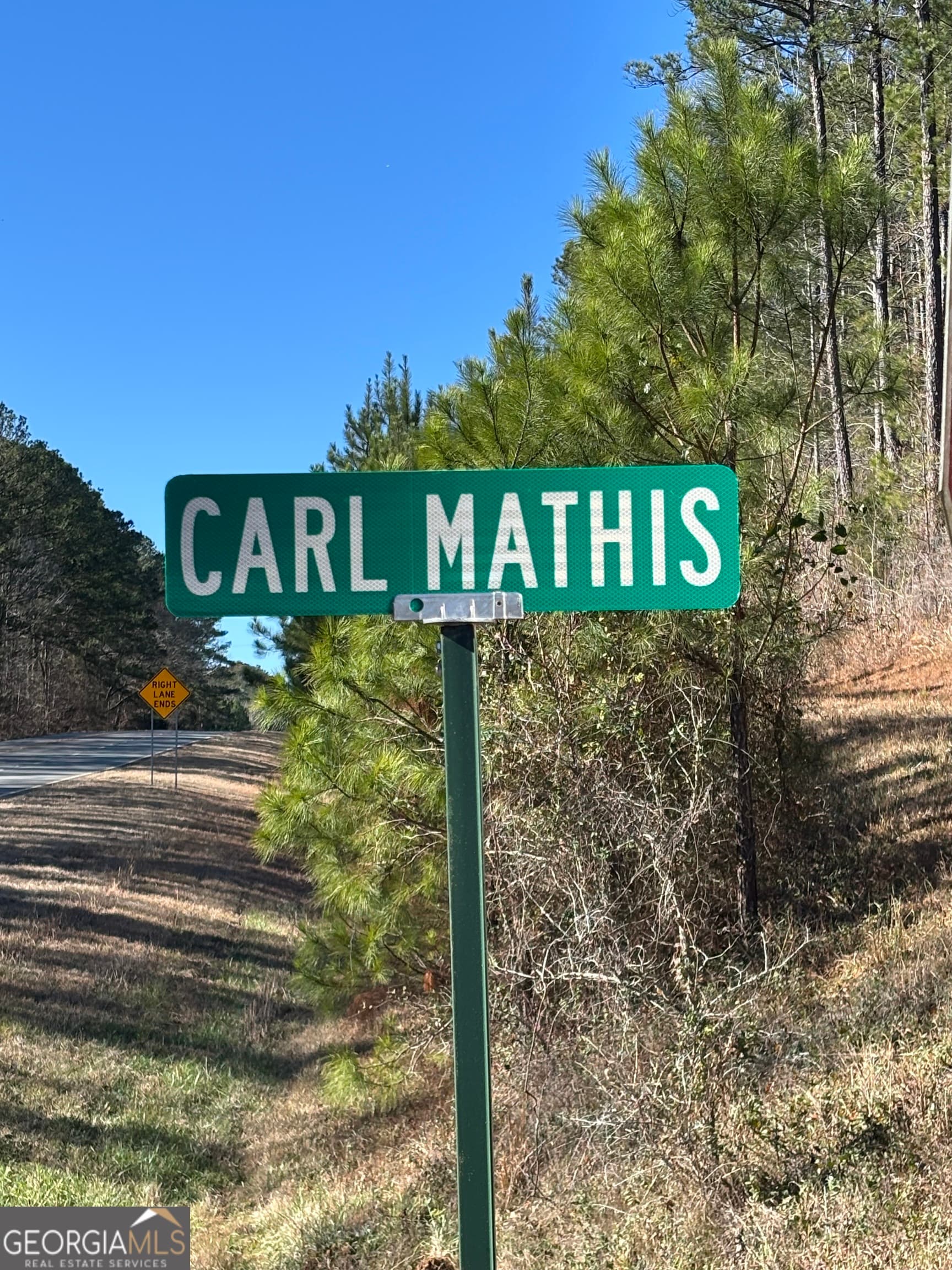agriculture for sale at 0 Carl Mathis Road, Talbotton, GA 31827 — photo 10