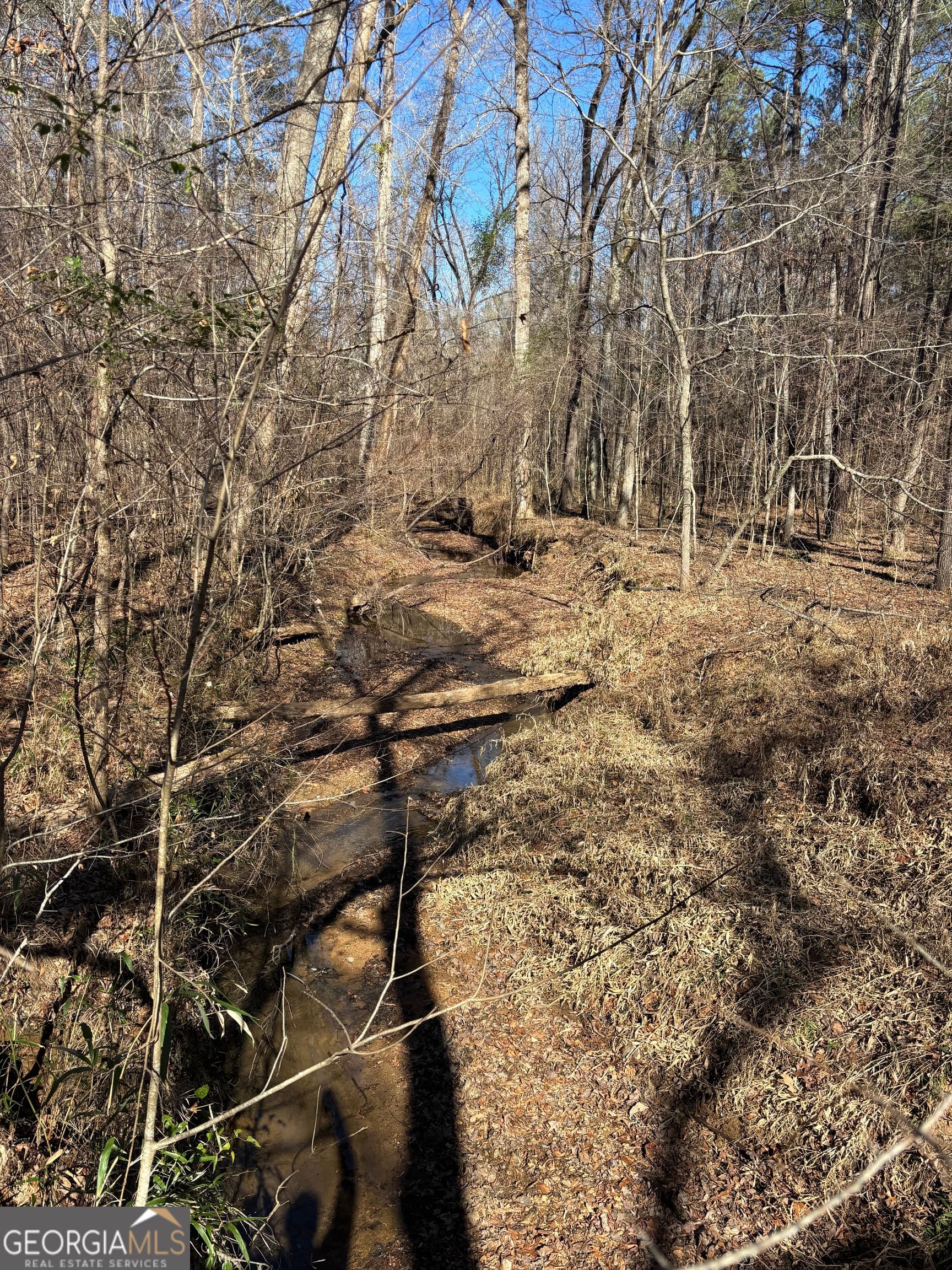 agriculture for sale at 0 Carl Mathis Road, Talbotton, GA 31827 — photo 4