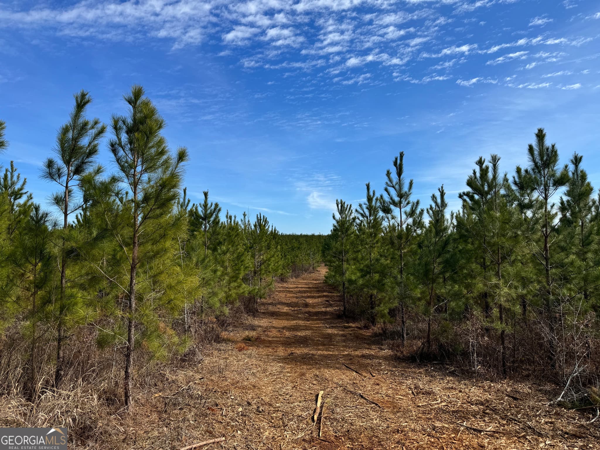 018 Dozier Road, Ellaville, GA 31806 — most recent listing photo