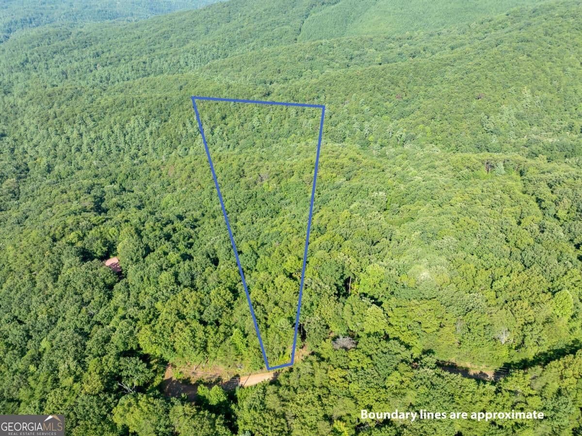 residential lot for sale at LOT 9 Brushy Top Drive, Chatsworth, GA 30705 — photo 2