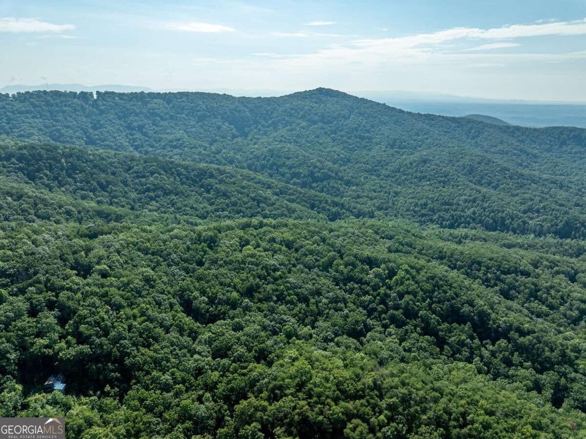 residential lot for sale at LOT 9 Brushy Top Drive, Chatsworth, GA 30705 — photo 6