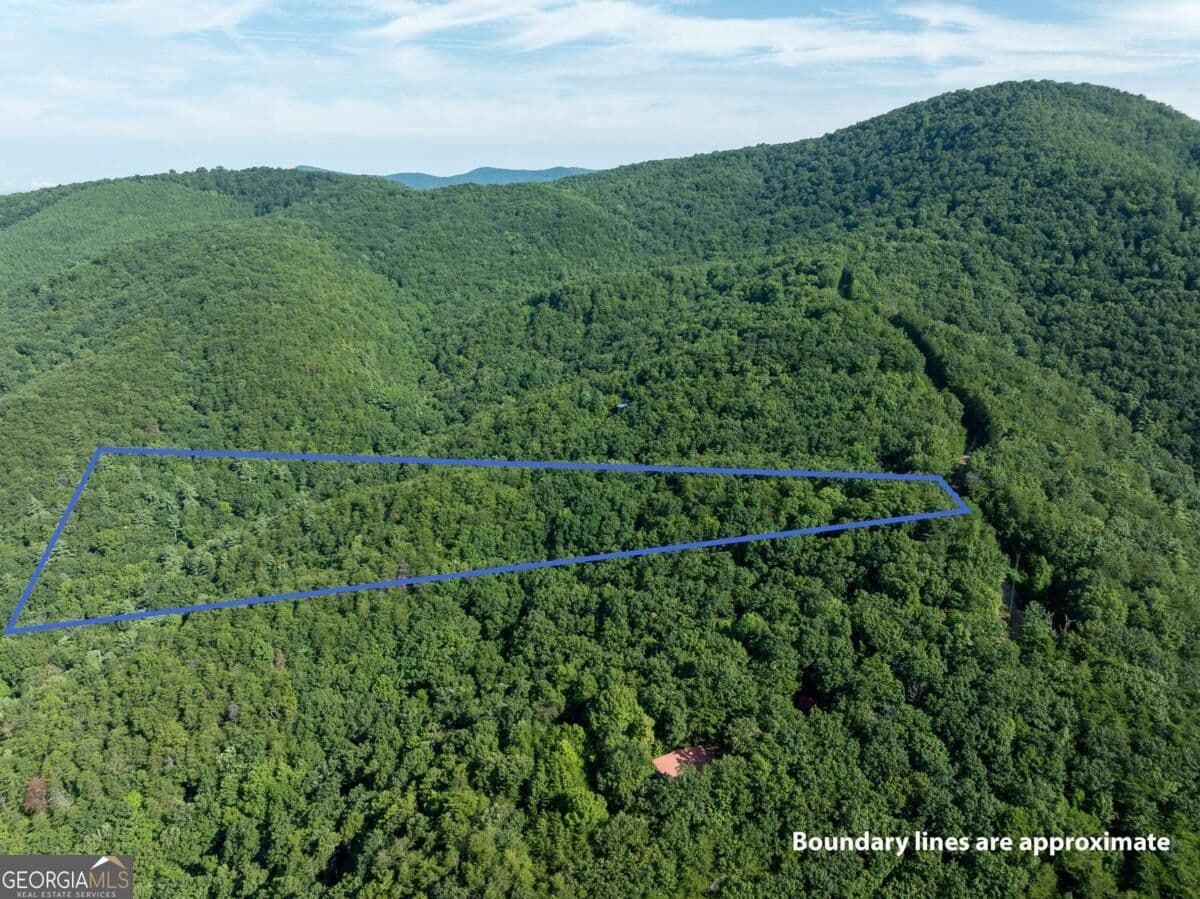 residential lot for sale at LOT 9 Brushy Top Drive, Chatsworth, GA 30705 — photo 7