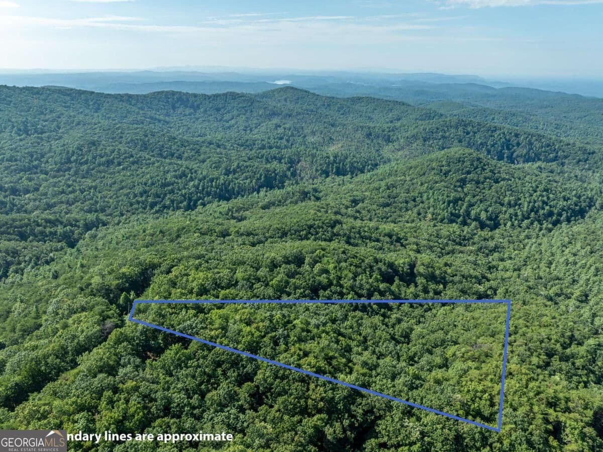 residential lot for sale at LOT 9 Brushy Top Drive, Chatsworth, GA 30705 — photo 5