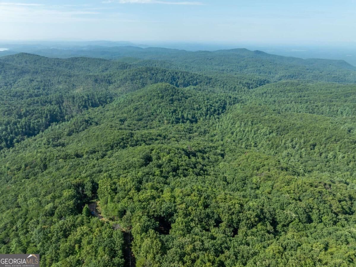 residential lot for sale at LOT 9 Brushy Top Drive, Chatsworth, GA 30705 — photo 4