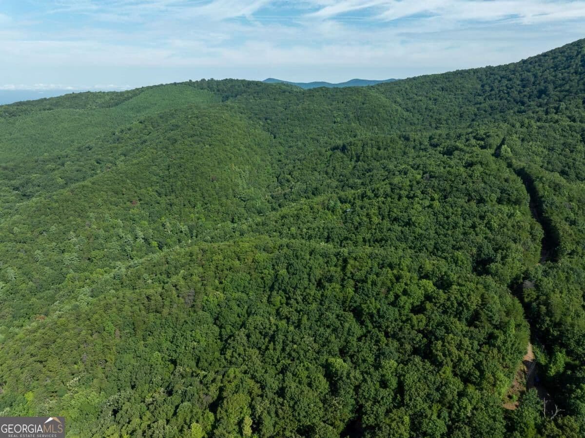 residential lot for sale at LOT 9 Brushy Top Drive, Chatsworth, GA 30705 — photo 8