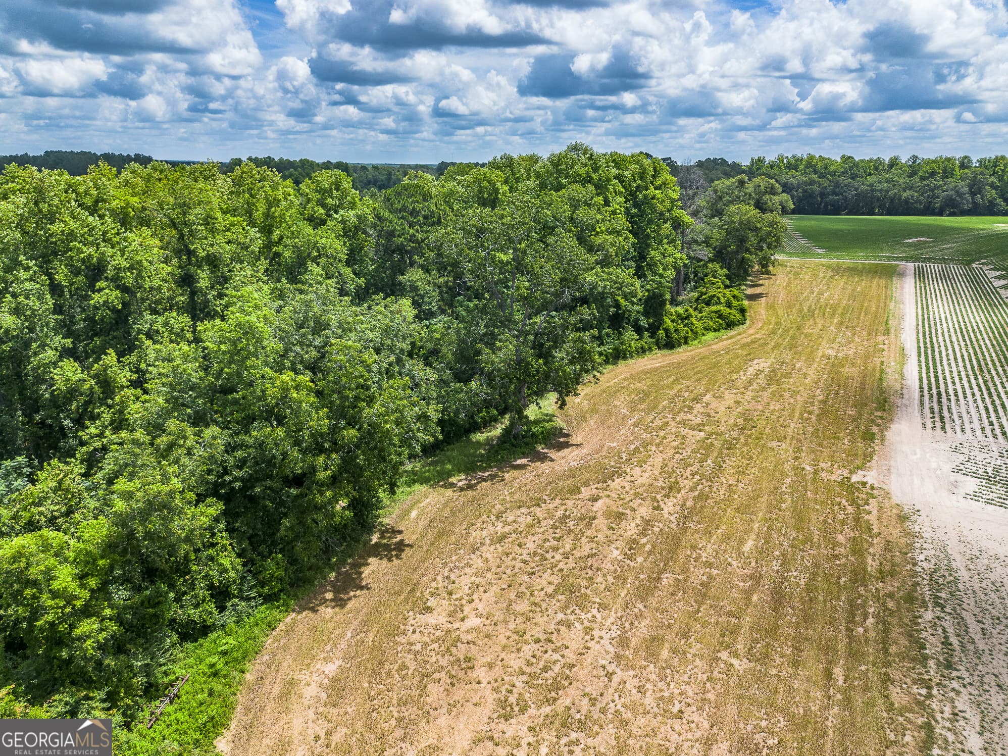 agriculture for sale at 0 Nesbitt Road, Odum, GA 31555 — photo 7