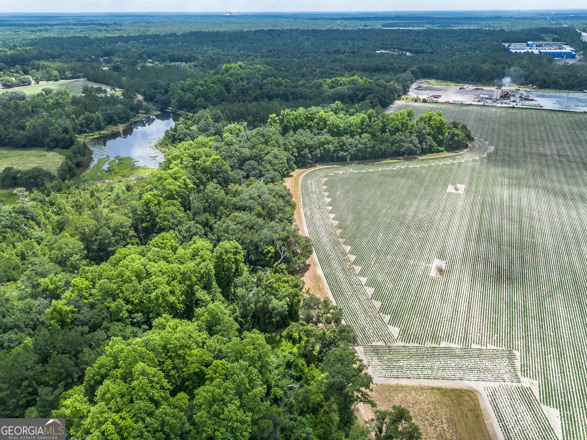 agriculture for sale at 0 Nesbitt Road, Odum, GA 31555 — photo 3