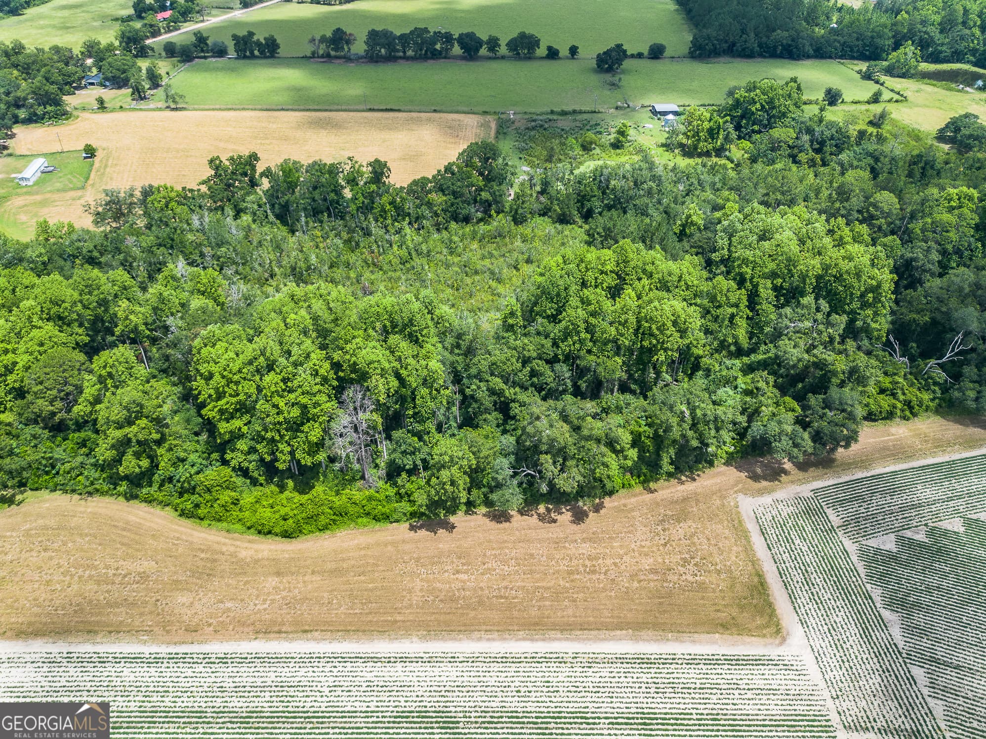 agriculture for sale at 0 Nesbitt Road, Odum, GA 31555 — photo 5