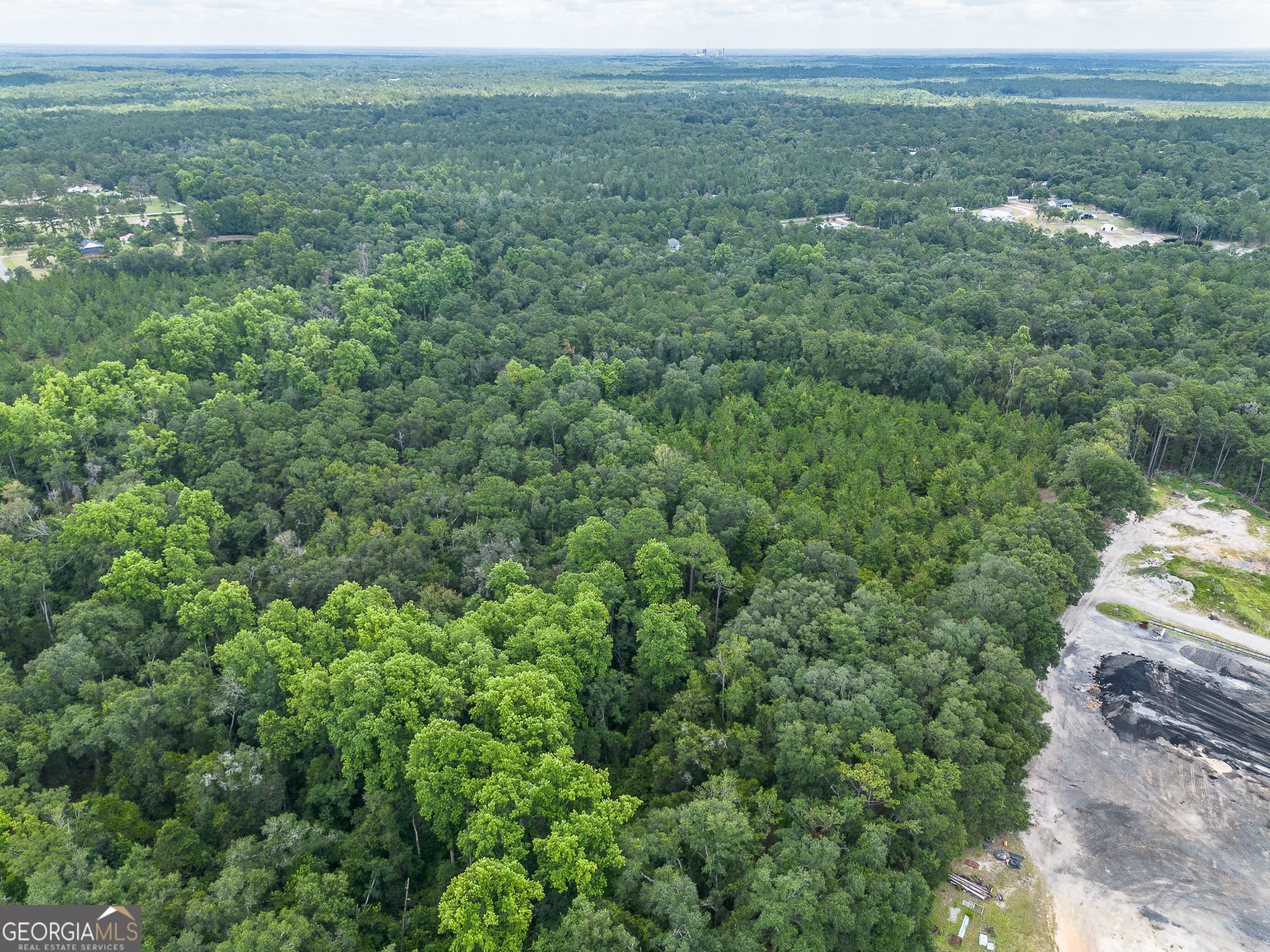agriculture for sale at 0 Nesbitt Road, Odum, GA 31555 — photo 9