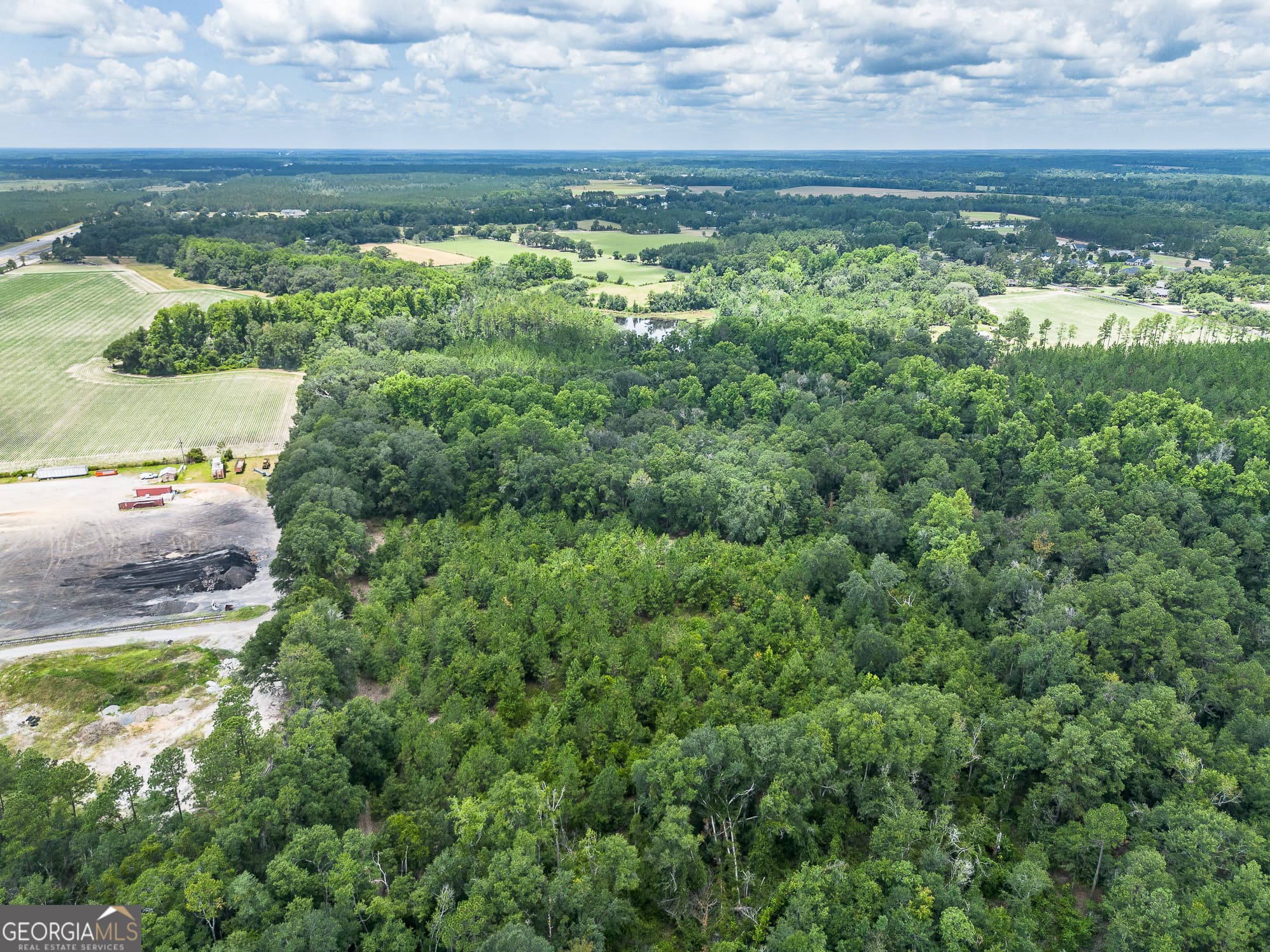 agriculture for sale at 0 Nesbitt Road, Odum, GA 31555 — photo 10