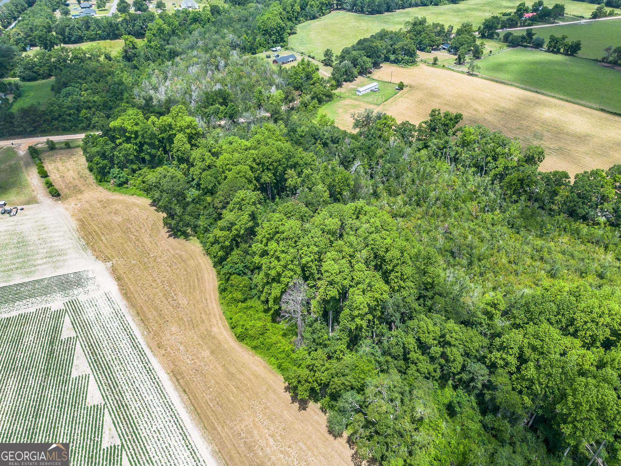 agriculture for sale at 0 Nesbitt Road, Odum, GA 31555 — photo 4