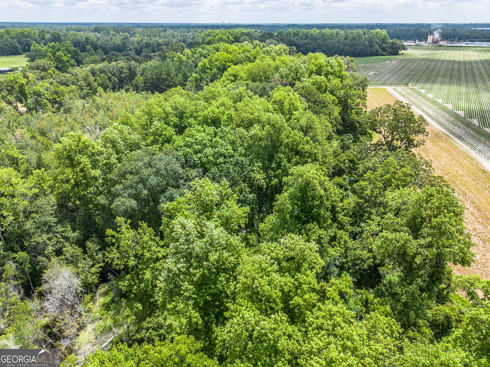 agriculture for sale at 0 Nesbitt Road, Odum, GA 31555 — photo 8