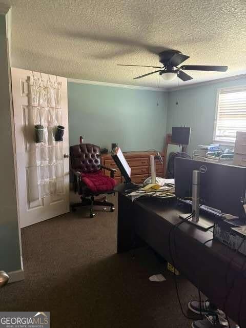 4 bedroom, 4 bathroom, 1,595 sq ft single family residence for sale at 5014 Isaac Road, Patterson, GA 31557 — photo 5