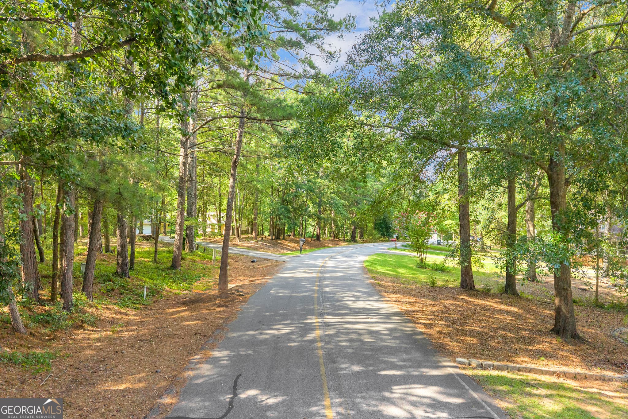 estate lot for sale at LOT S Winding Way, Hartwell, GA 30643 — photo 7