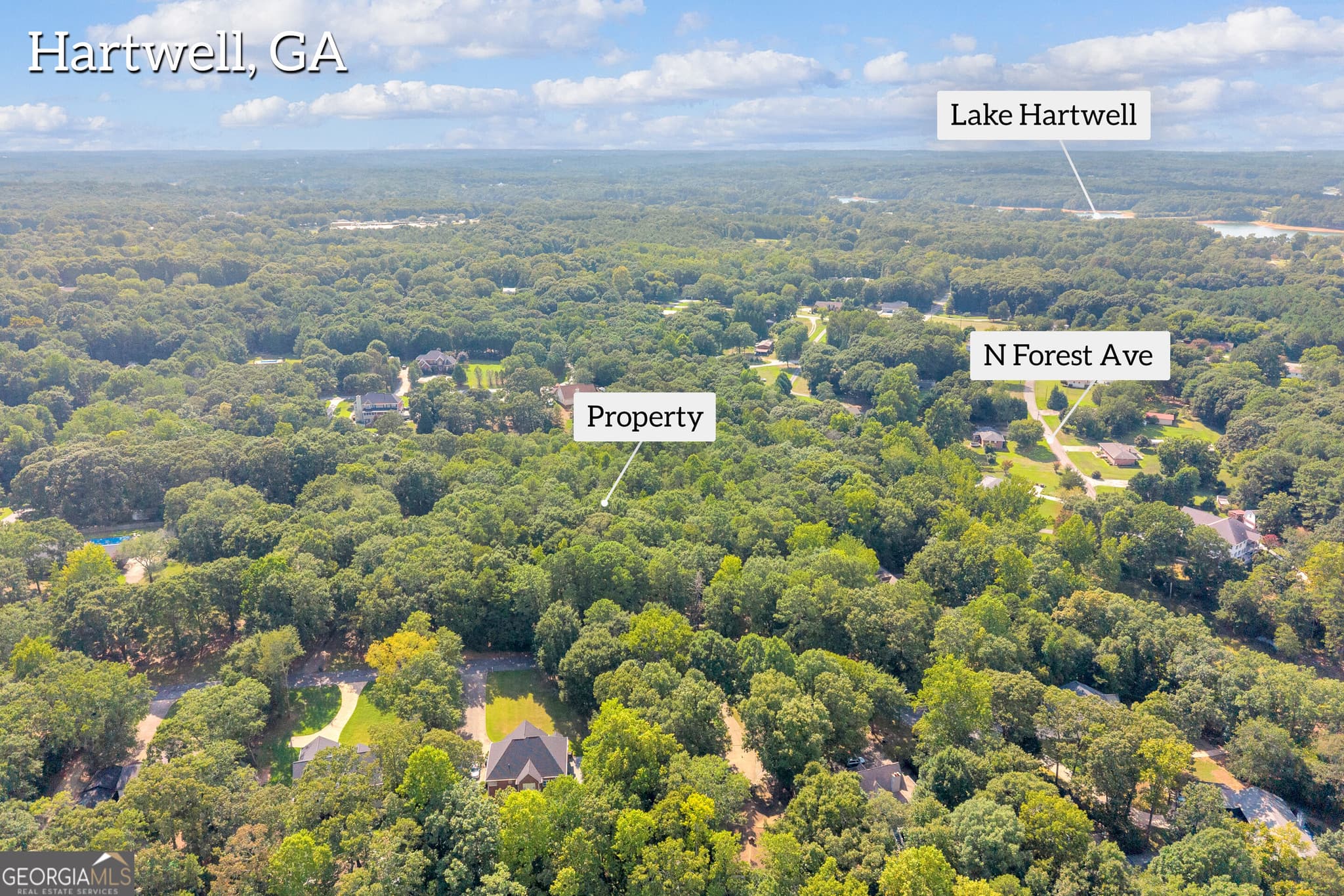 estate lot for sale at LOT S Winding Way, Hartwell, GA 30643 — photo 3