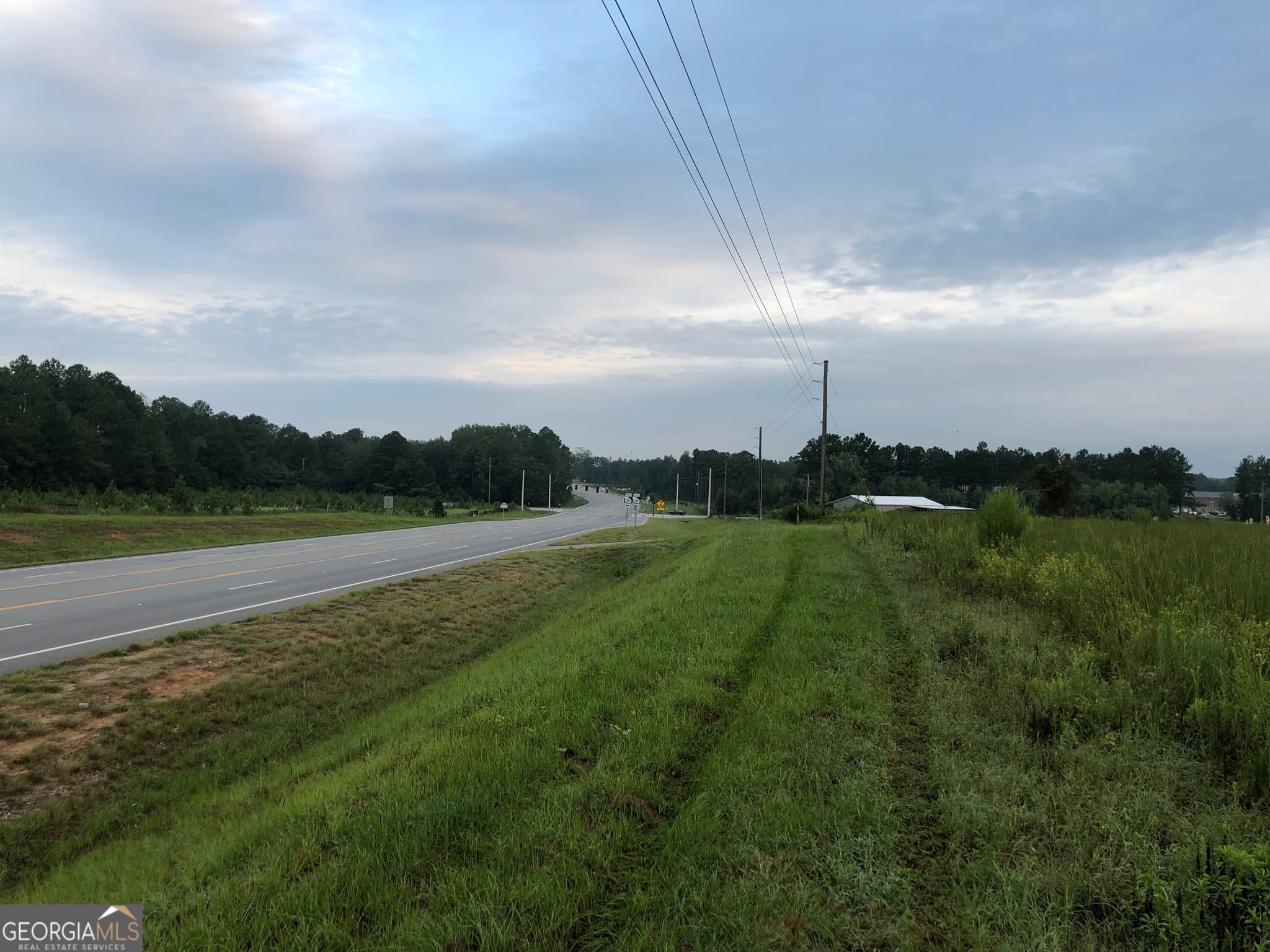 unimproved land for sale at 0 Ga Highway 126, Cochran, GA 31014 — photo 2