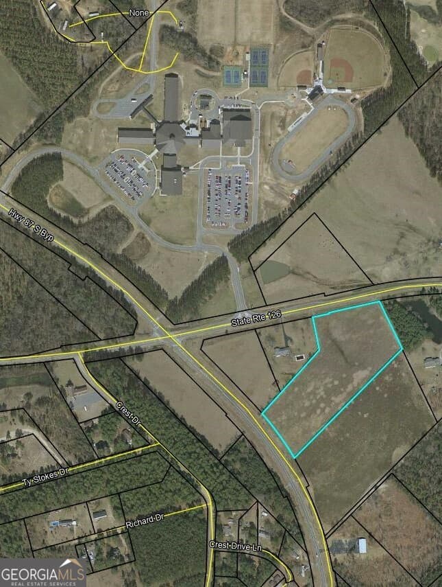 unimproved land for sale at 0 Ga Highway 126, Cochran, GA 31014 — photo 6