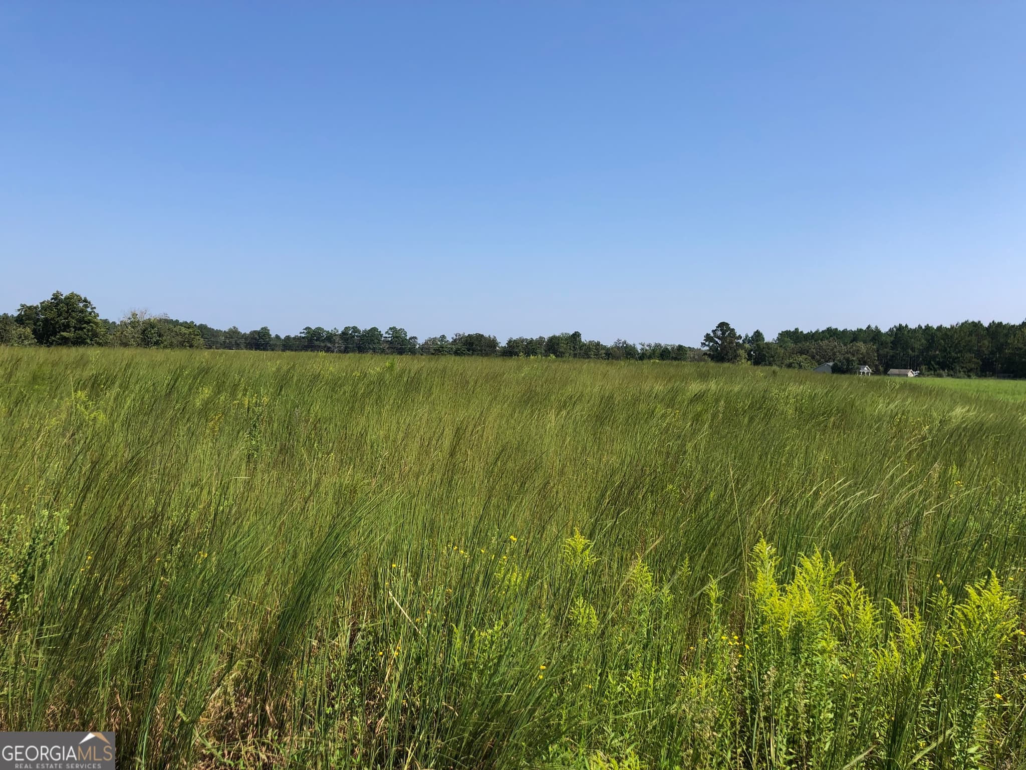 unimproved land for sale at 0 Ga Highway 126, Cochran, GA 31014