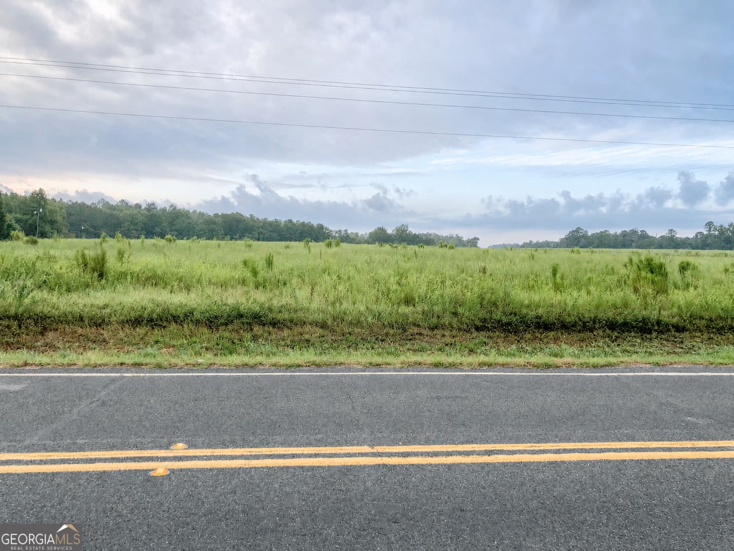 unimproved land for sale at 0 Ga Highway 126, Cochran, GA 31014 — photo 5