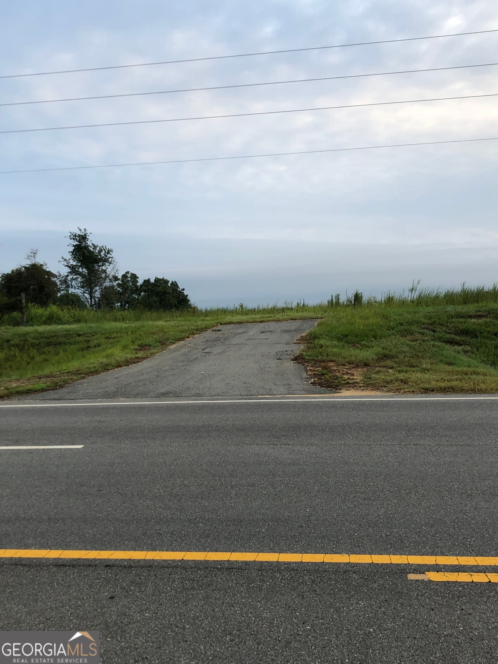 unimproved land for sale at 0 Ga Highway 126, Cochran, GA 31014 — photo 4
