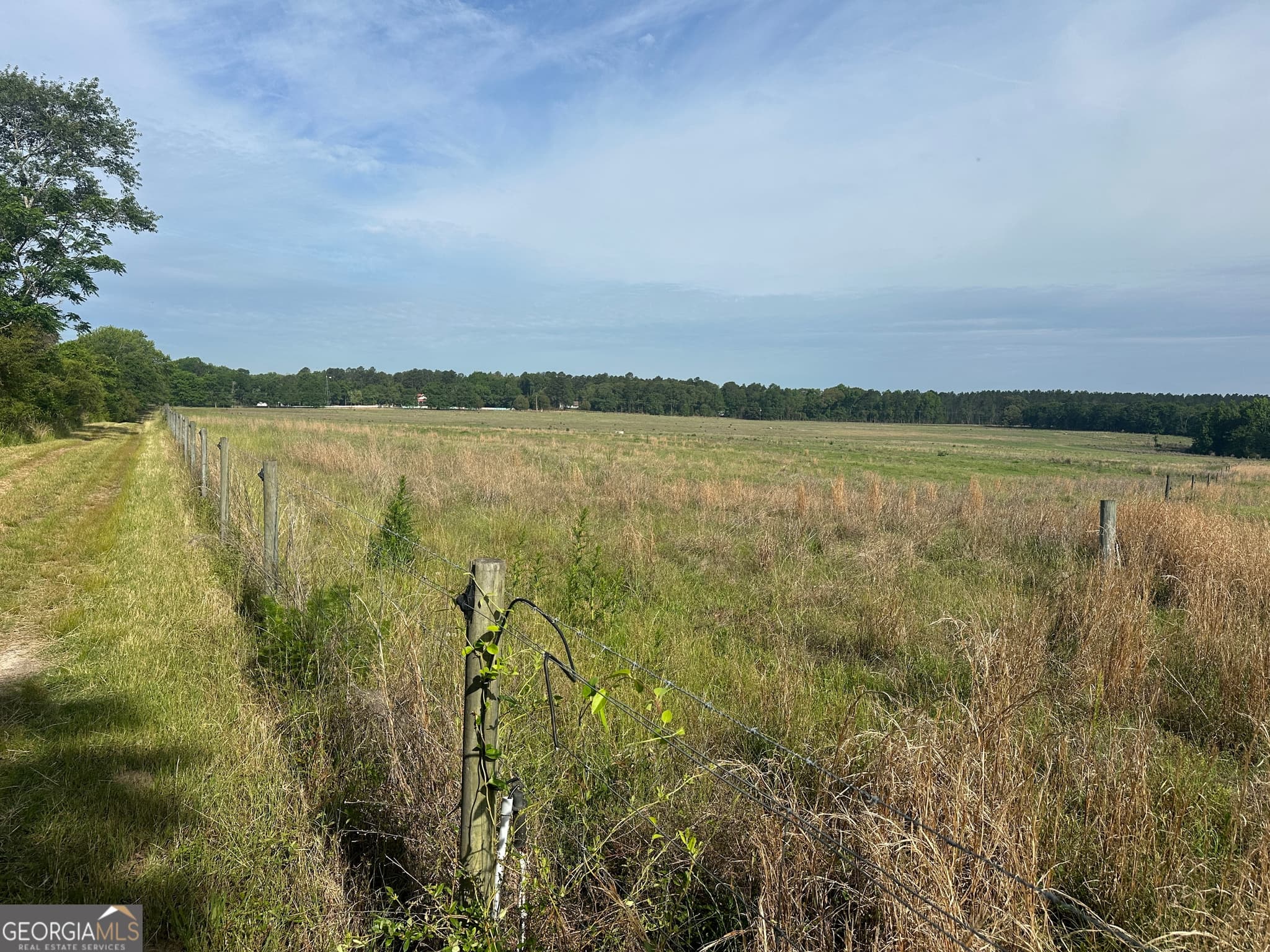 agriculture for sale at 1309 Jarrell Pond Road, Sylvania, GA 30467 — photo 2