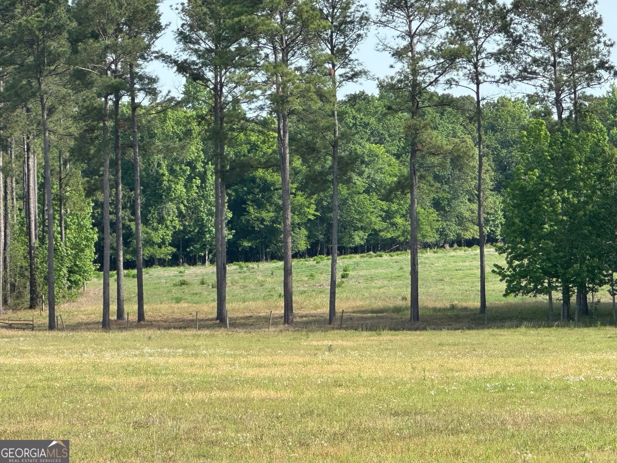 agriculture for sale at 1309 Jarrell Pond Road, Sylvania, GA 30467 — photo 6