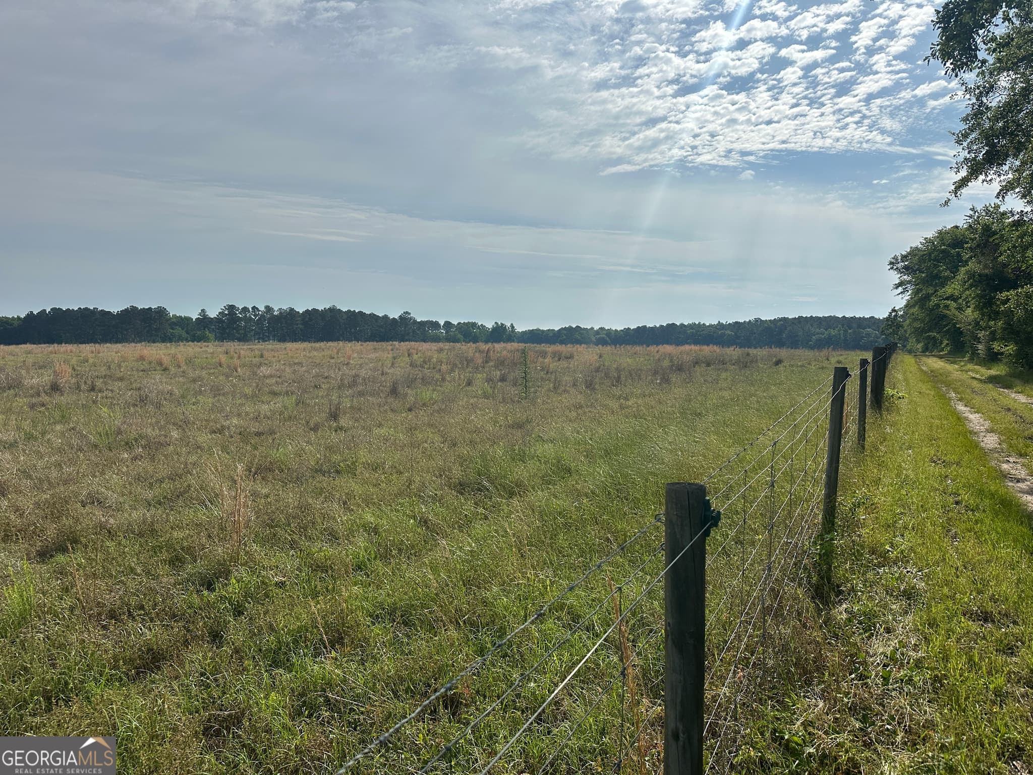 agriculture for sale at 1309 Jarrell Pond Road, Sylvania, GA 30467 — photo 3