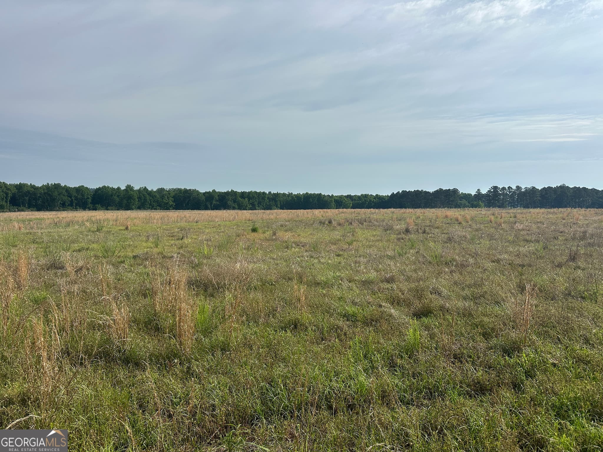 agriculture for sale at 1309 Jarrell Pond Road, Sylvania, GA 30467