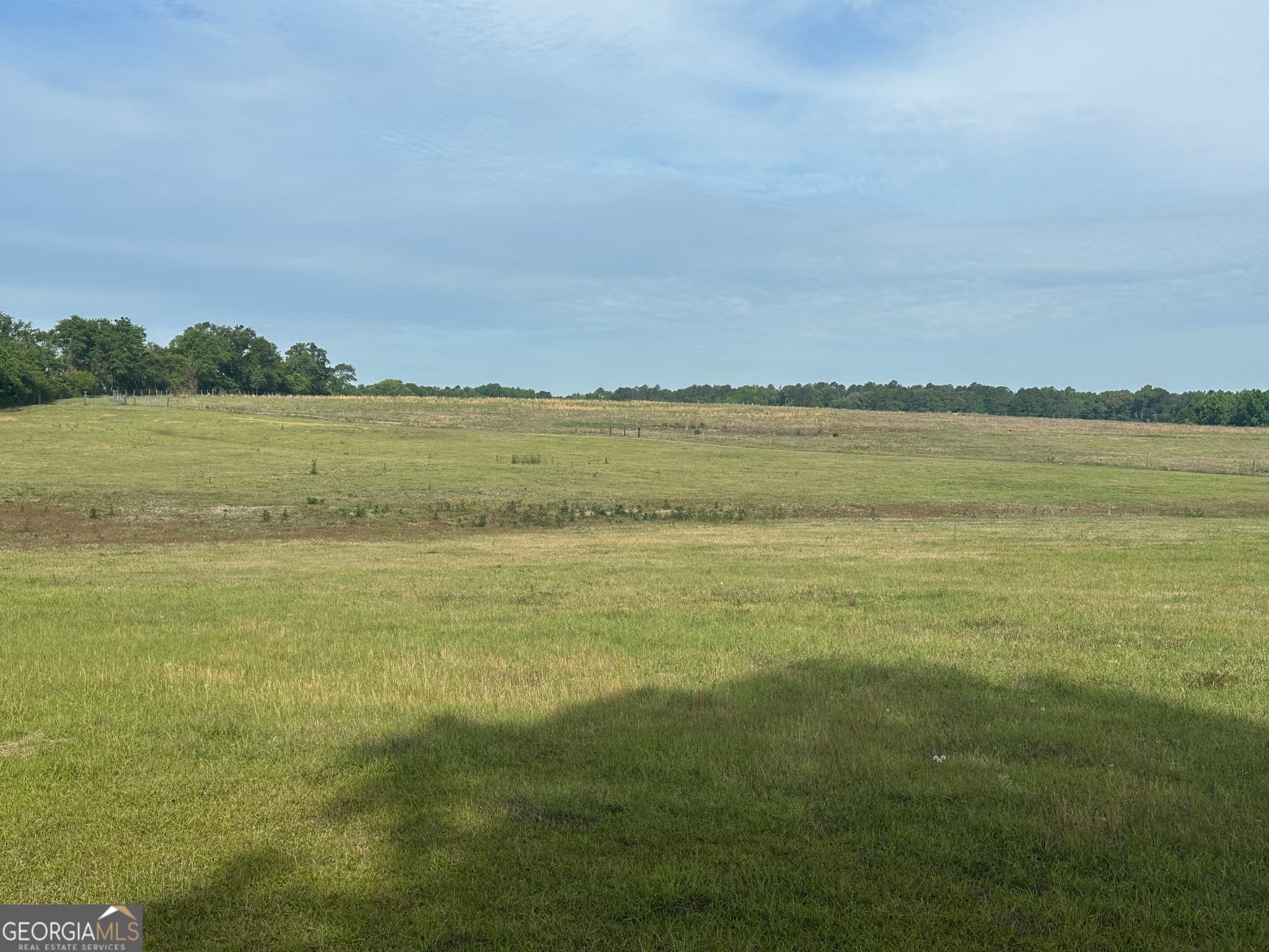 agriculture for sale at 1309 Jarrell Pond Road, Sylvania, GA 30467 — photo 5