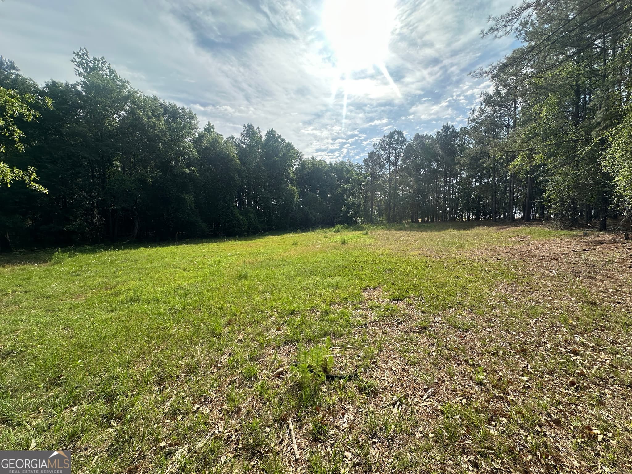 agriculture for sale at 1309 Jarrell Pond Road, Sylvania, GA 30467 — photo 9