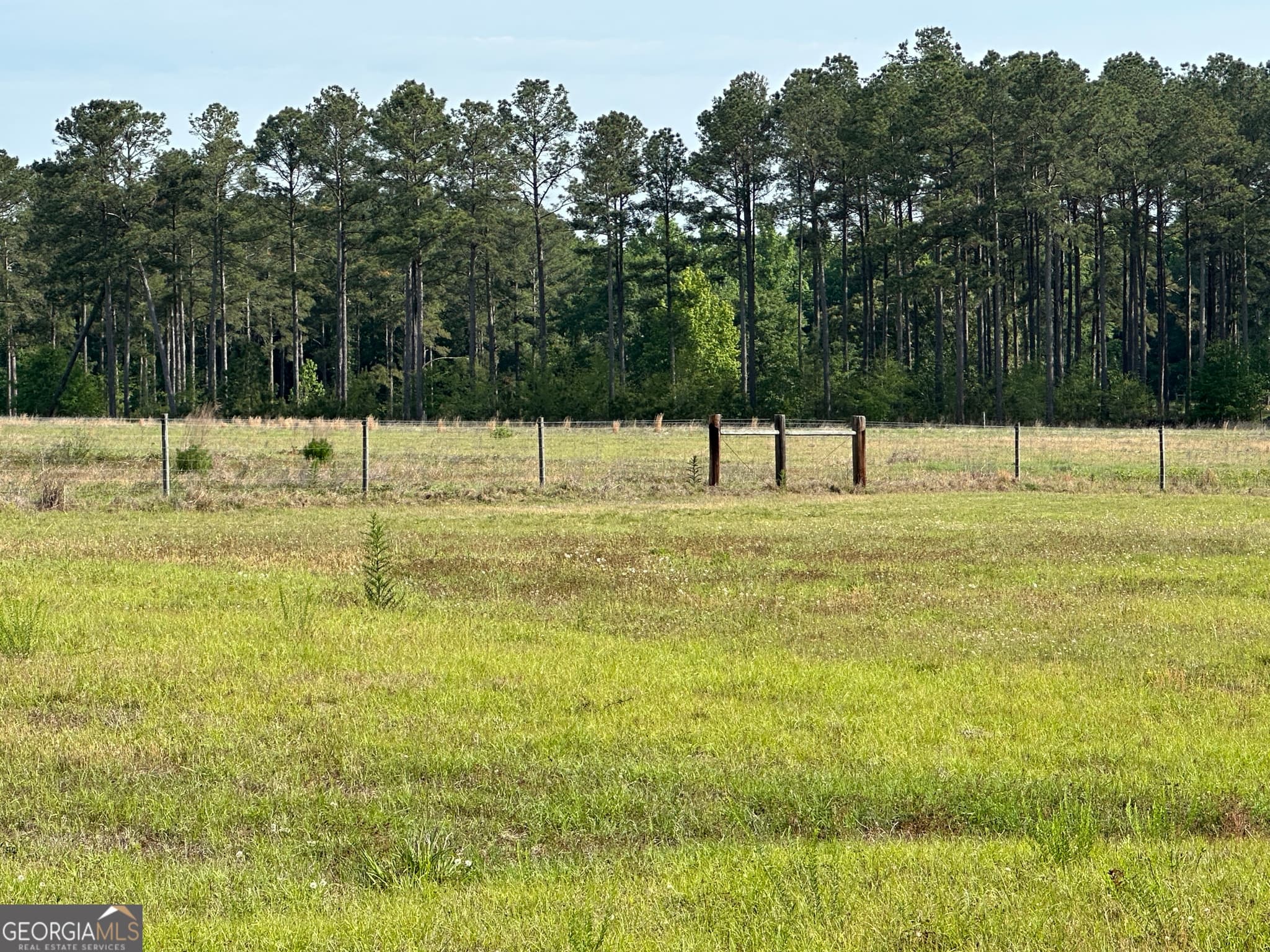 agriculture for sale at 1309 Jarrell Pond Road, Sylvania, GA 30467 — photo 4