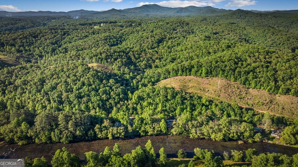 residential lot for sale at 2.48 ACR Valley Lane, Mineral Bluff, GA 30559 — photo 7