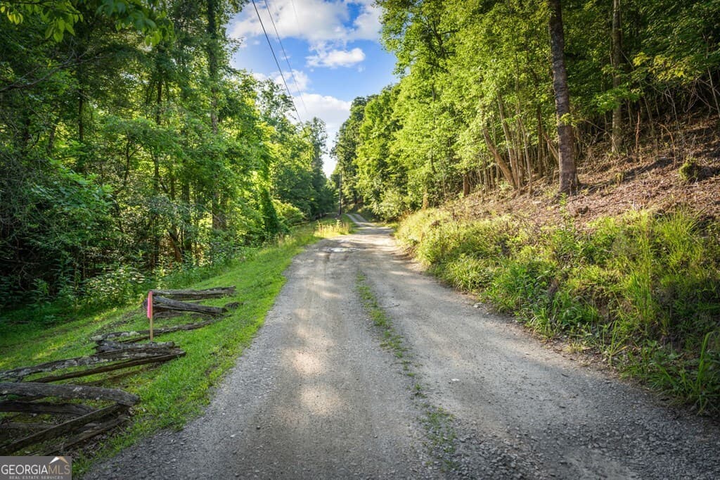 residential lot for sale at 2.48 ACR Valley Lane, Mineral Bluff, GA 30559 — photo 3