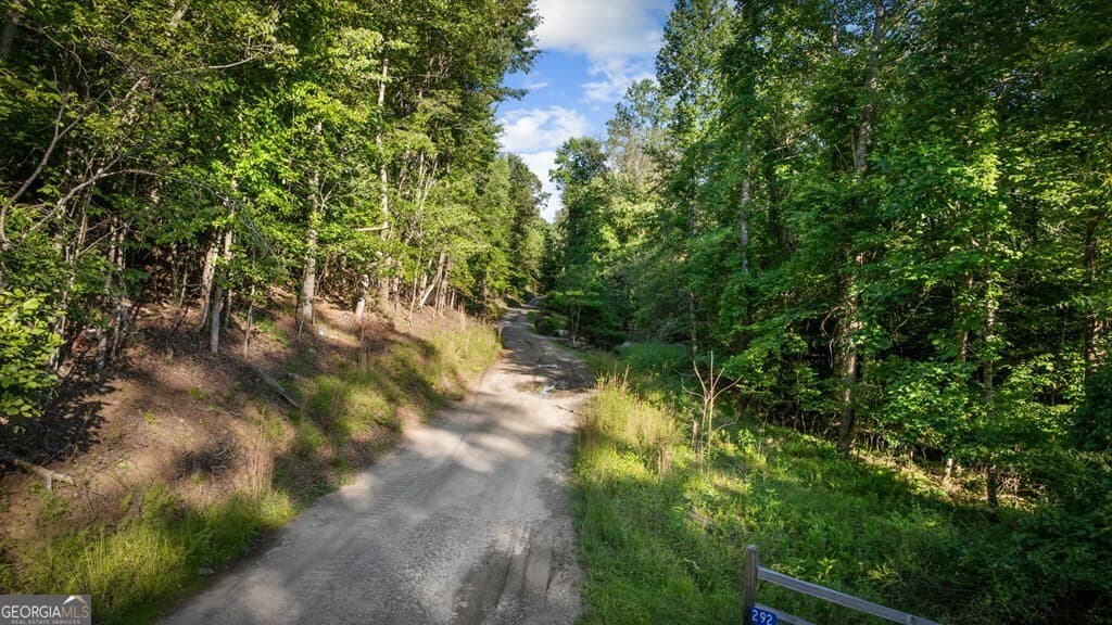 residential lot for sale at 2.48 ACR Valley Lane, Mineral Bluff, GA 30559 — photo 4