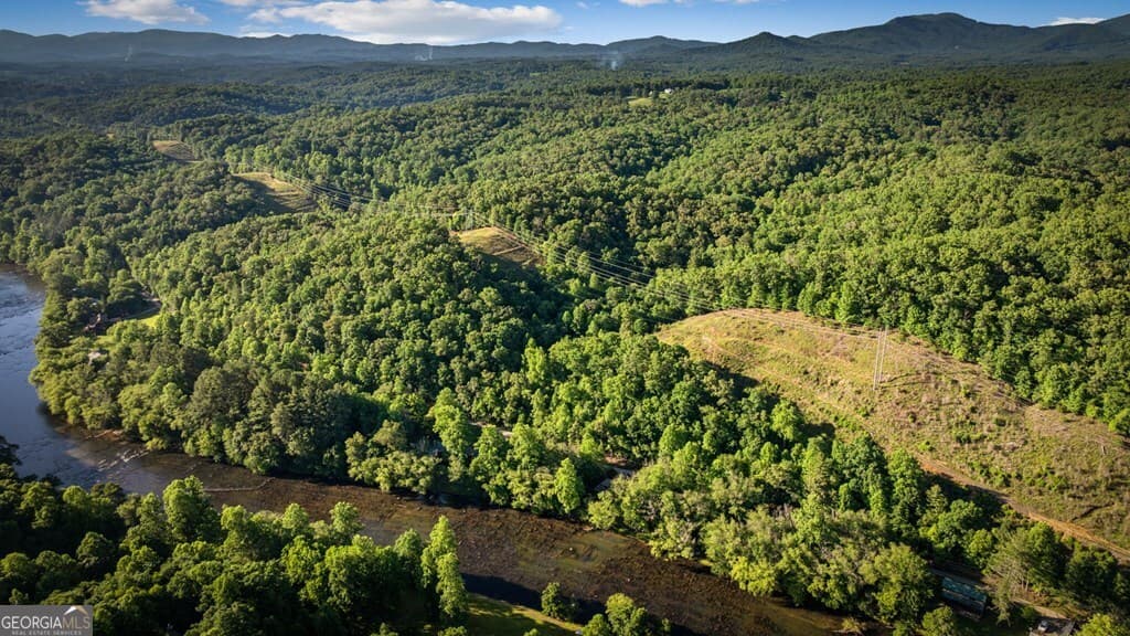residential lot for sale at 2.48 ACR Valley Lane, Mineral Bluff, GA 30559 — photo 8