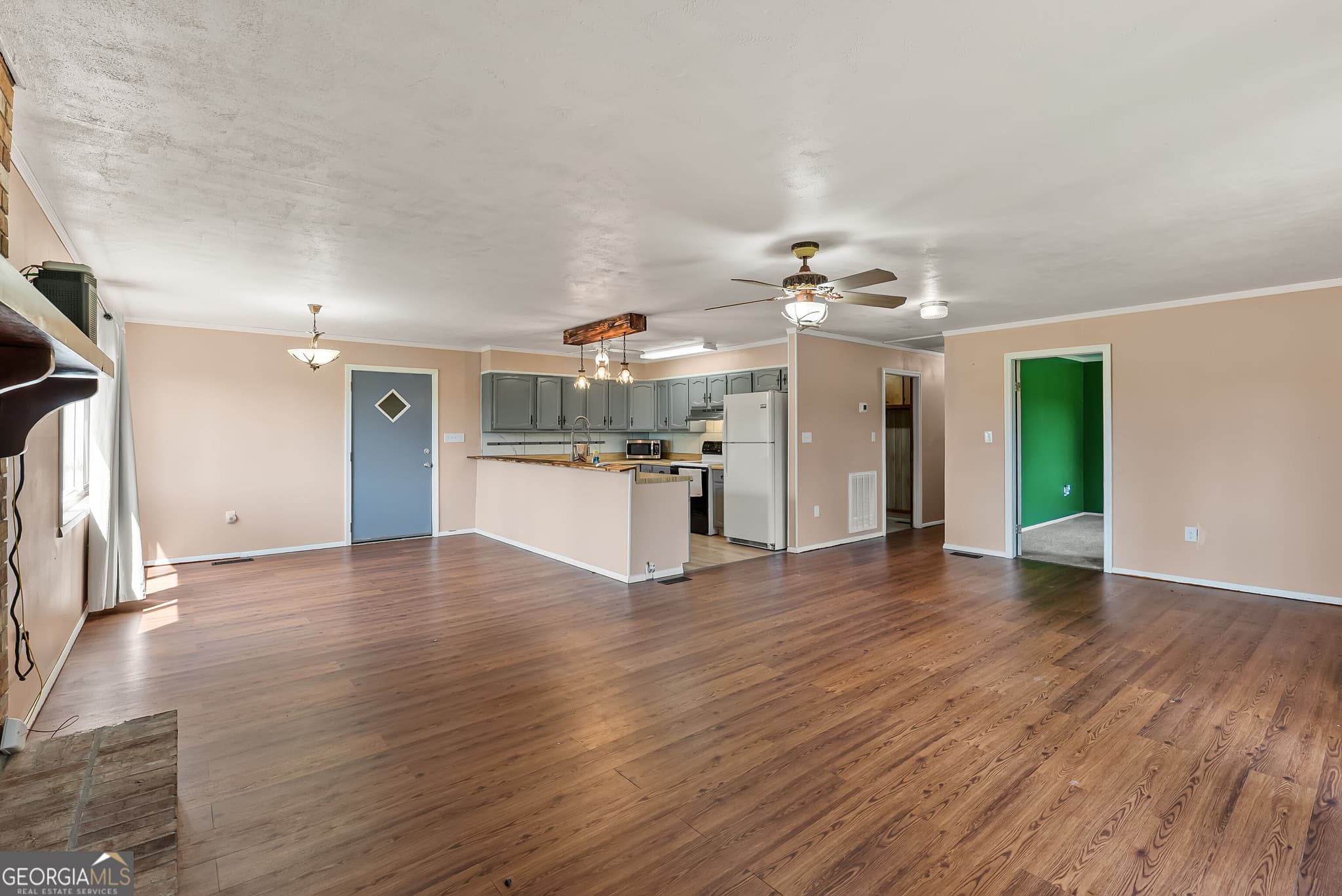 3 bedroom, 2 bathroom, 1,584 sq ft single family residence for sale at 677 Palmer Road, Pelham, GA 31779 — photo 4