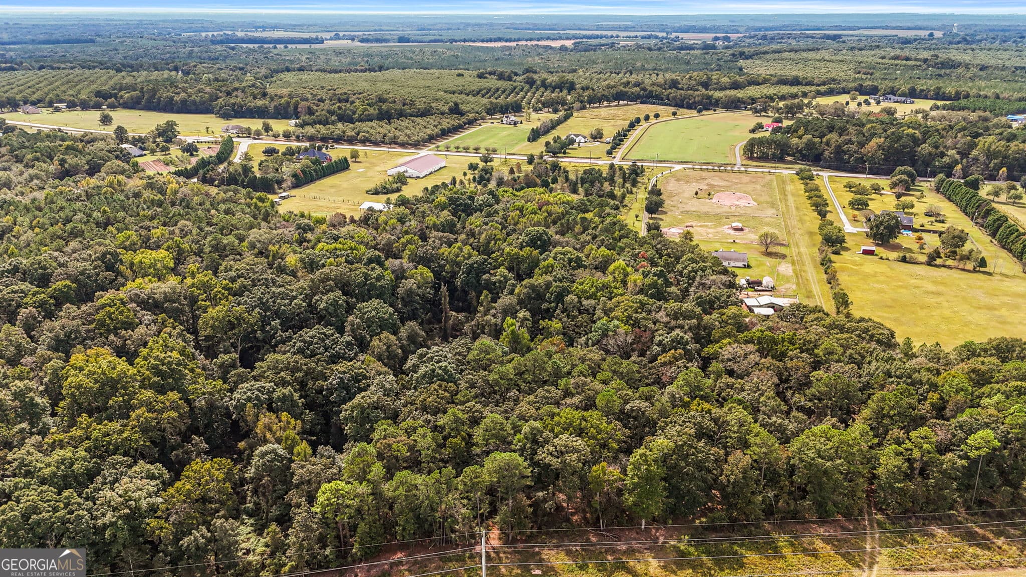 unimproved land for sale at 0 Ga Highway 42, Byron, GA 31008 — photo 7
