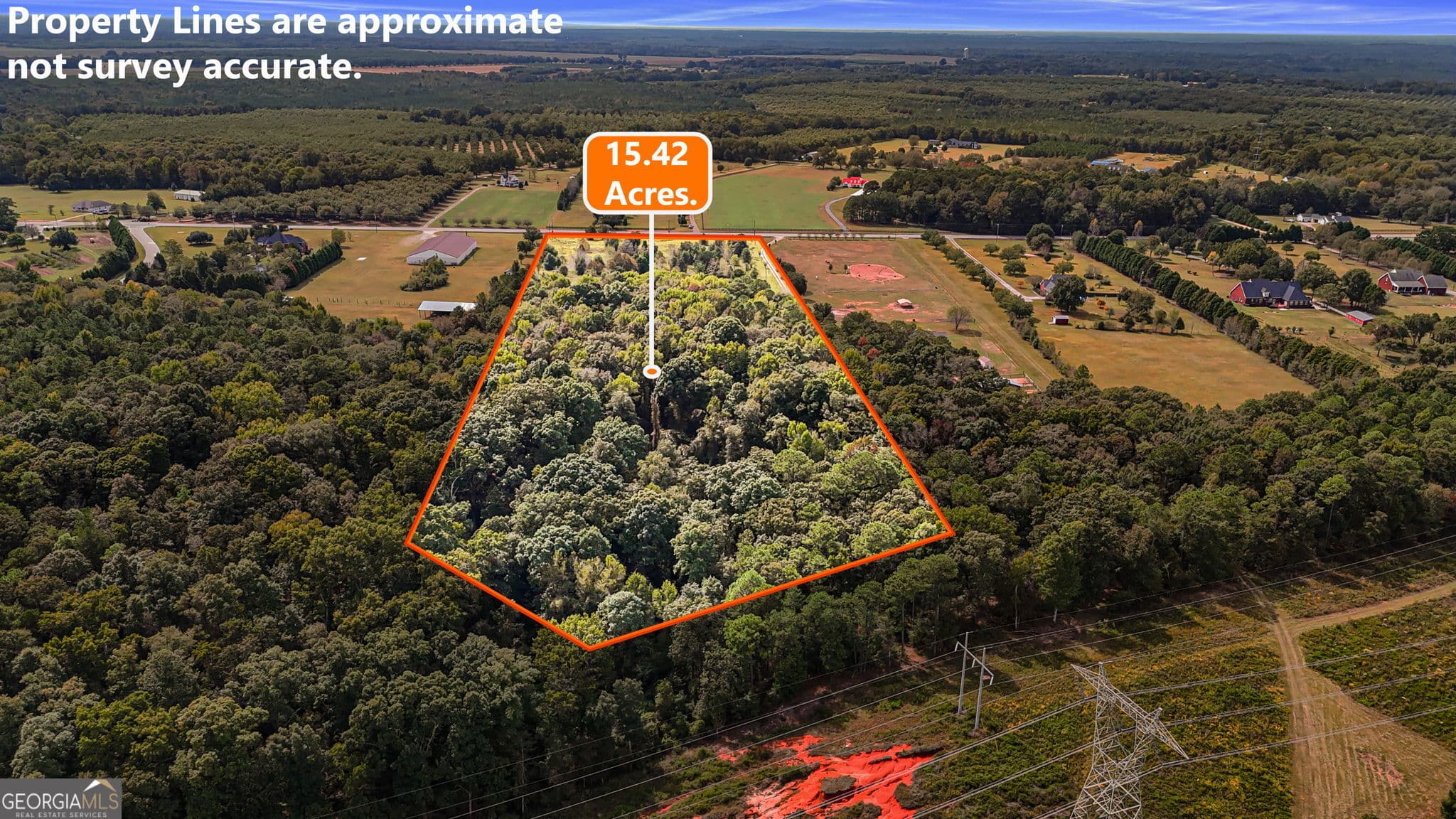 unimproved land for sale at 0 Ga Highway 42, Byron, GA 31008 — photo 3