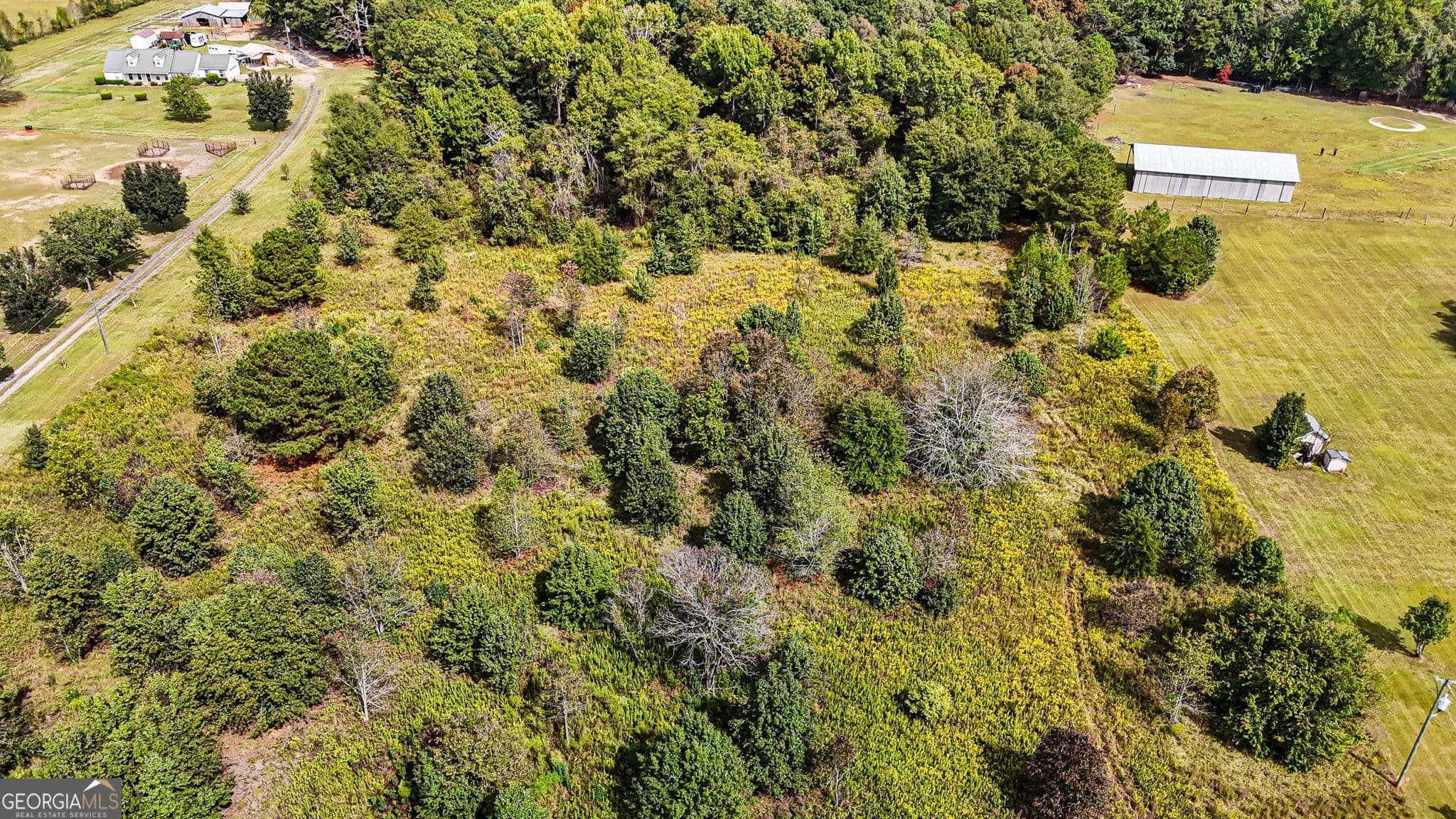 unimproved land for sale at 0 Ga Highway 42, Byron, GA 31008 — photo 10