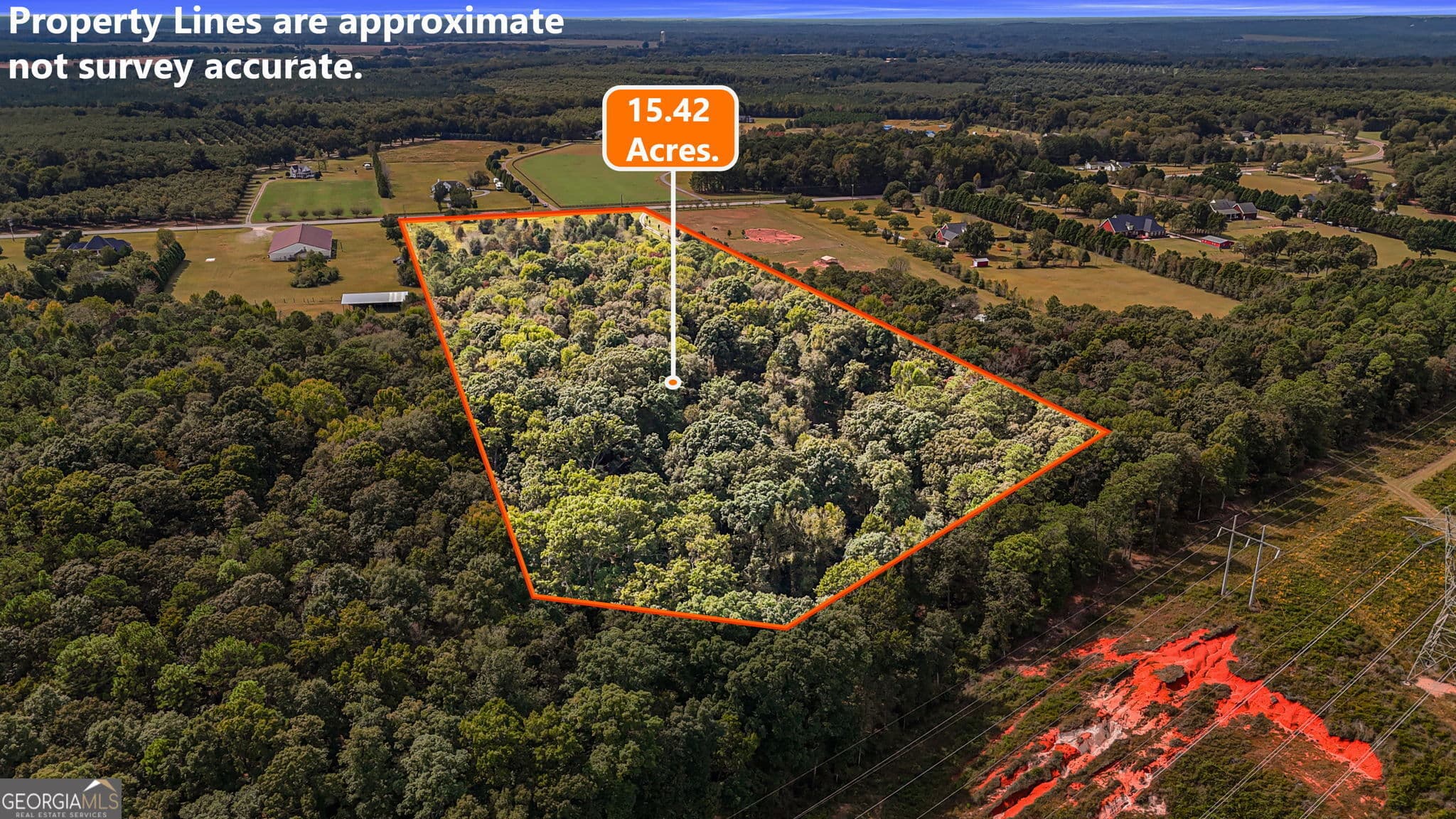 unimproved land for sale at 0 Ga Highway 42, Byron, GA 31008 — photo 4