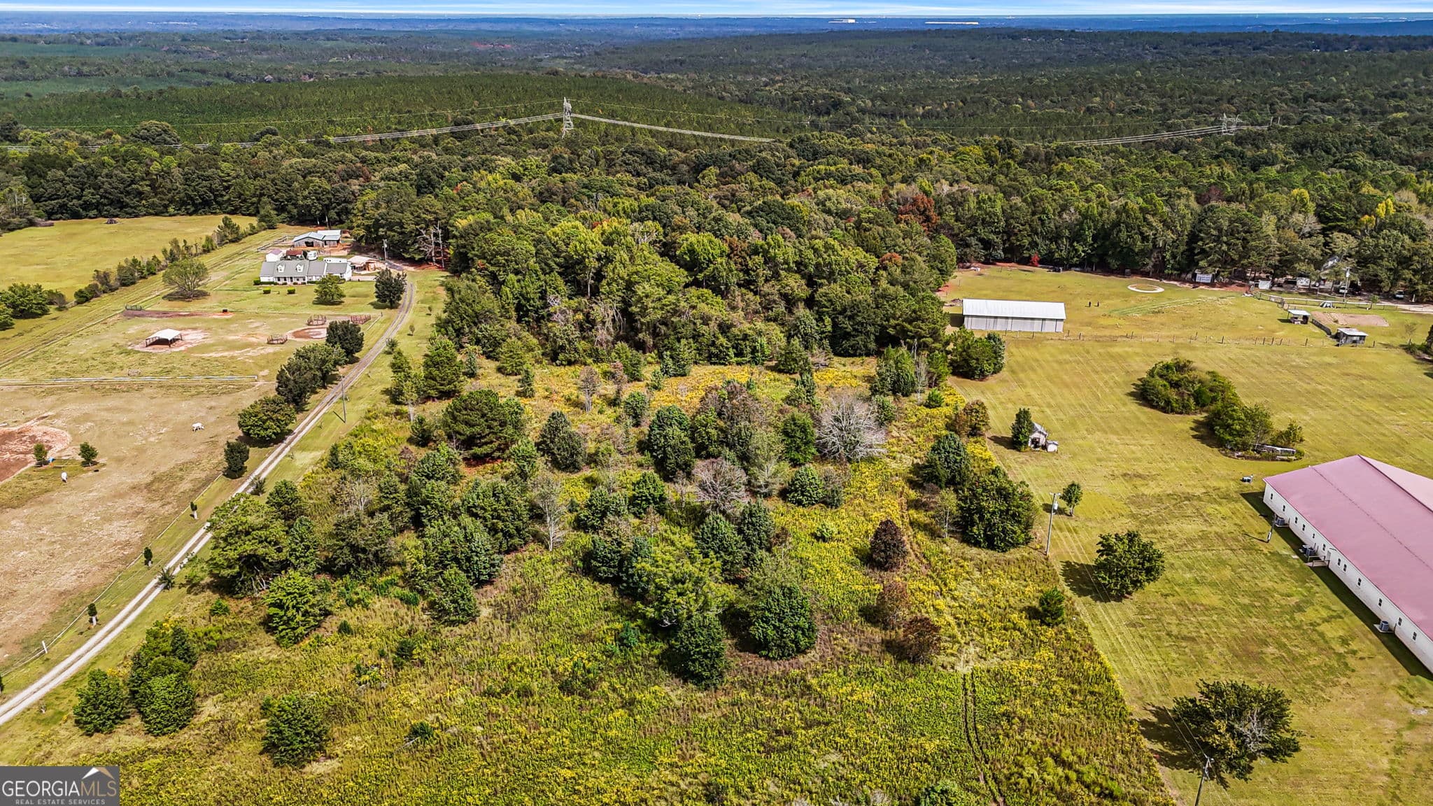 unimproved land for sale at 0 Ga Highway 42, Byron, GA 31008 — photo 8