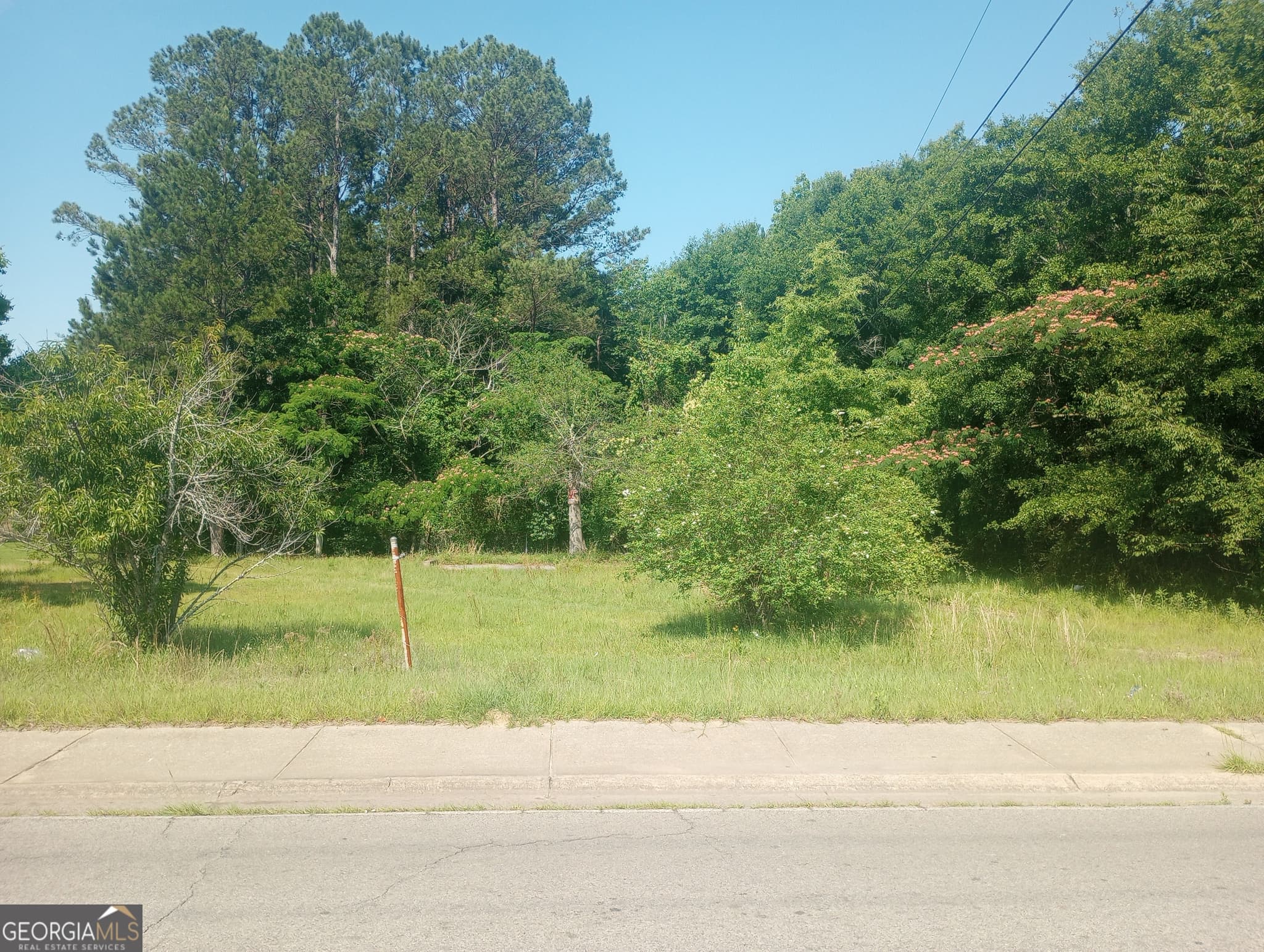 residential lot for sale at 704 Mlk Jr Avenue, Sandersville, GA 31082 — photo 3