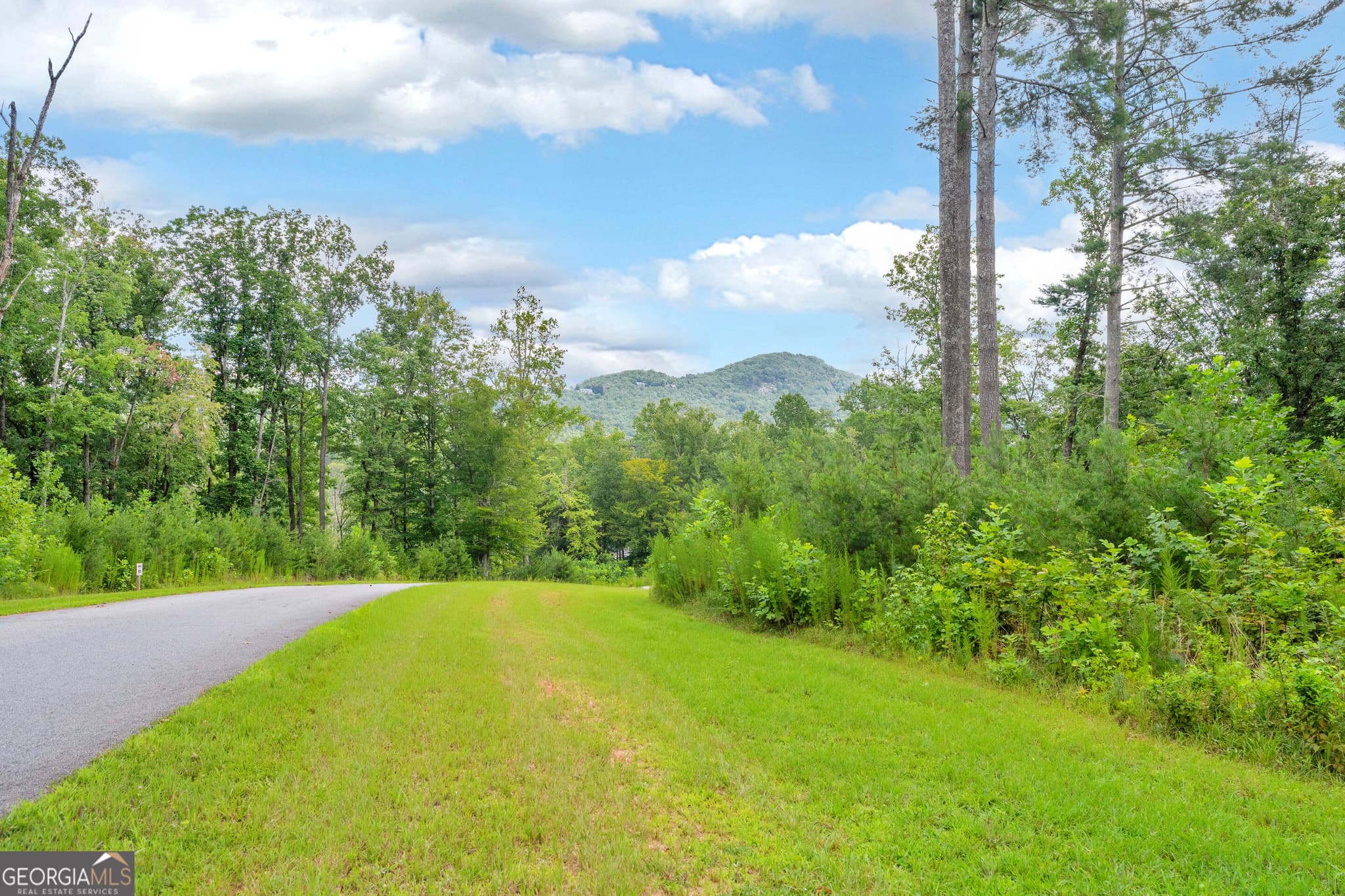 residential lot for sale at LOT 73 Leisure Mountain Trail, Sautee Nacoochee, GA 30571 — photo 2