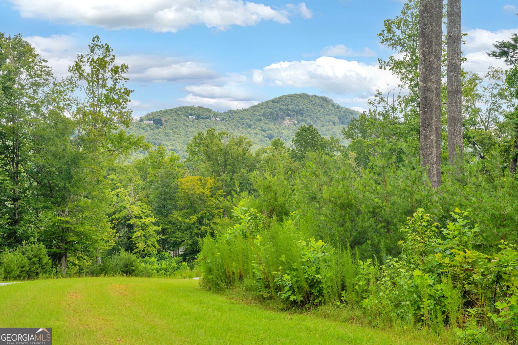 residential lot for sale at LOT 73 Leisure Mountain Trail, Sautee Nacoochee, GA 30571 — photo 3