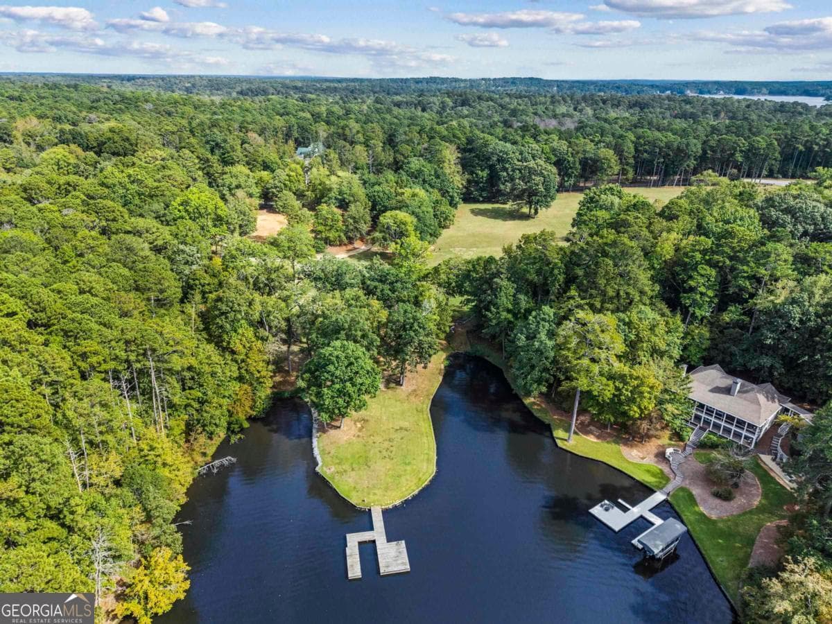 residential lot for sale at 1901 Pine Grove Road, Greensboro, GA 30642 — photo 3
