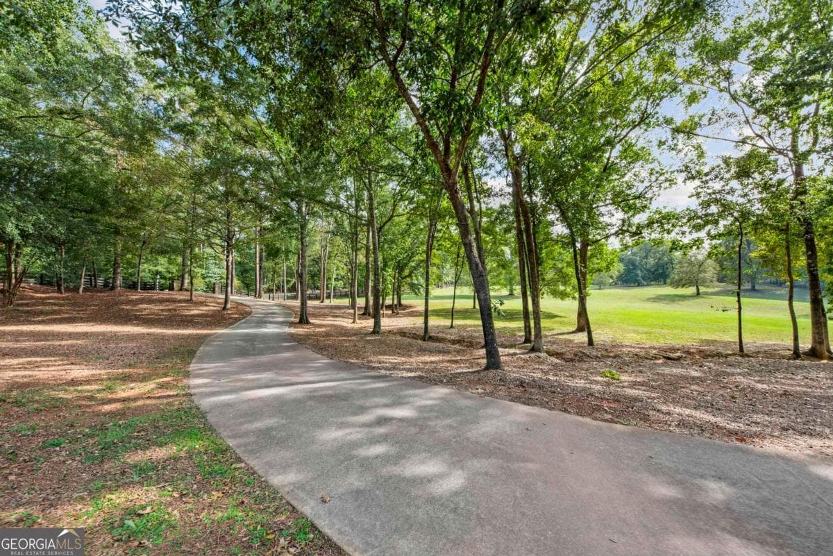 residential lot for sale at 1901 Pine Grove Road, Greensboro, GA 30642 — photo 9