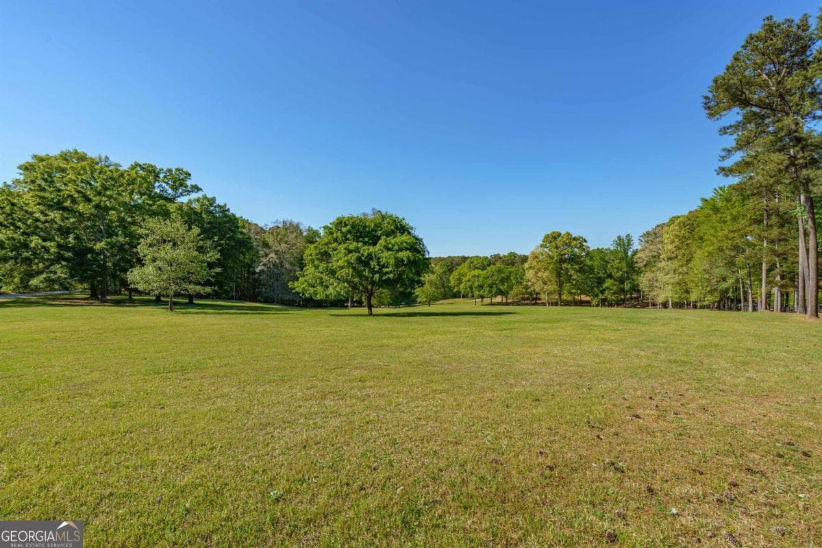 residential lot for sale at 1901 Pine Grove Road, Greensboro, GA 30642 — photo 10