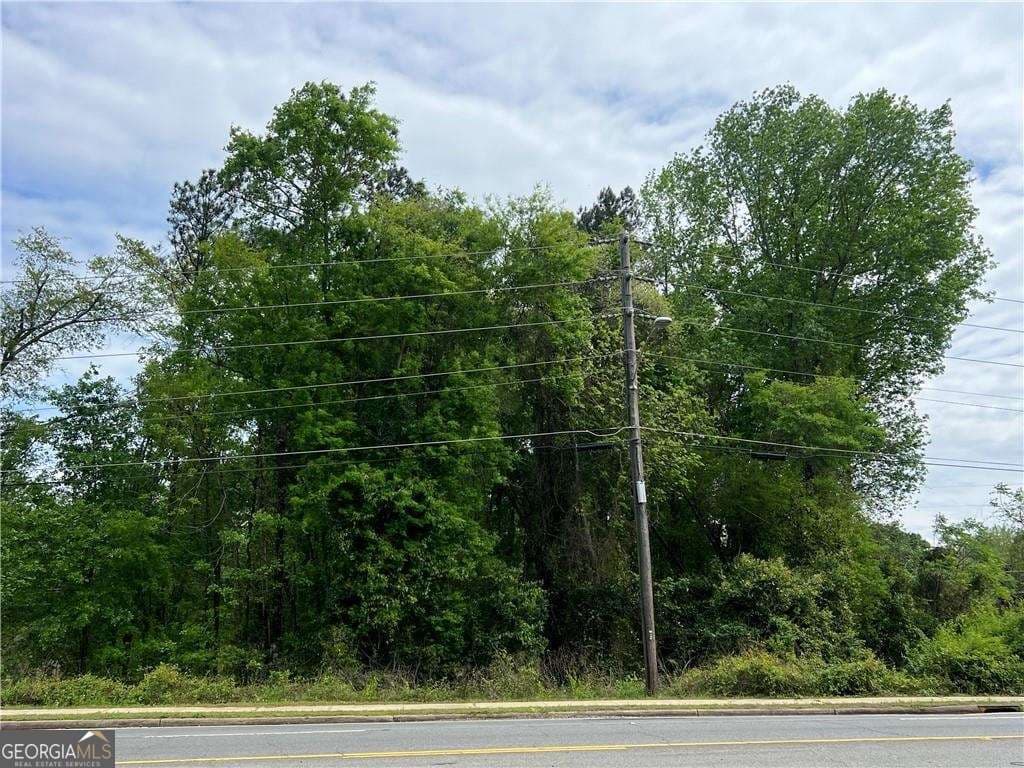 unimproved land for sale at 0 S M L K Jr Boulevard, Americus, GA 31719 — photo 7