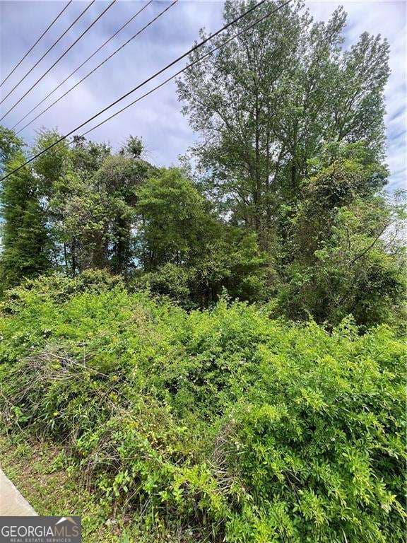unimproved land for sale at 0 S M L K Jr Boulevard, Americus, GA 31719 — photo 5